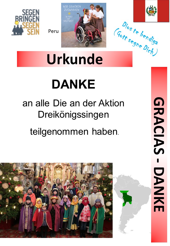 DANKE Sternsinger