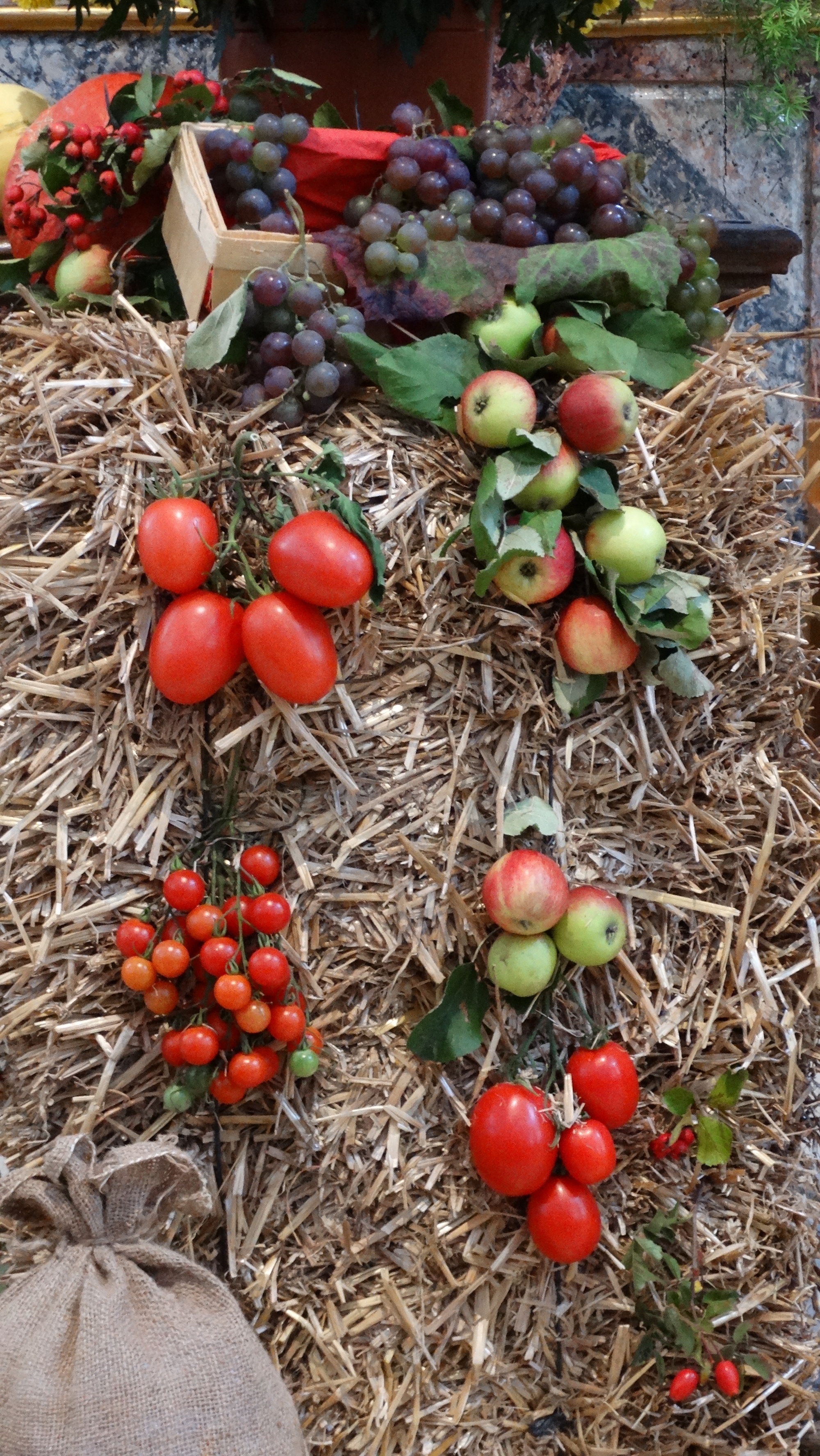 Erntedank in Scheinfeld