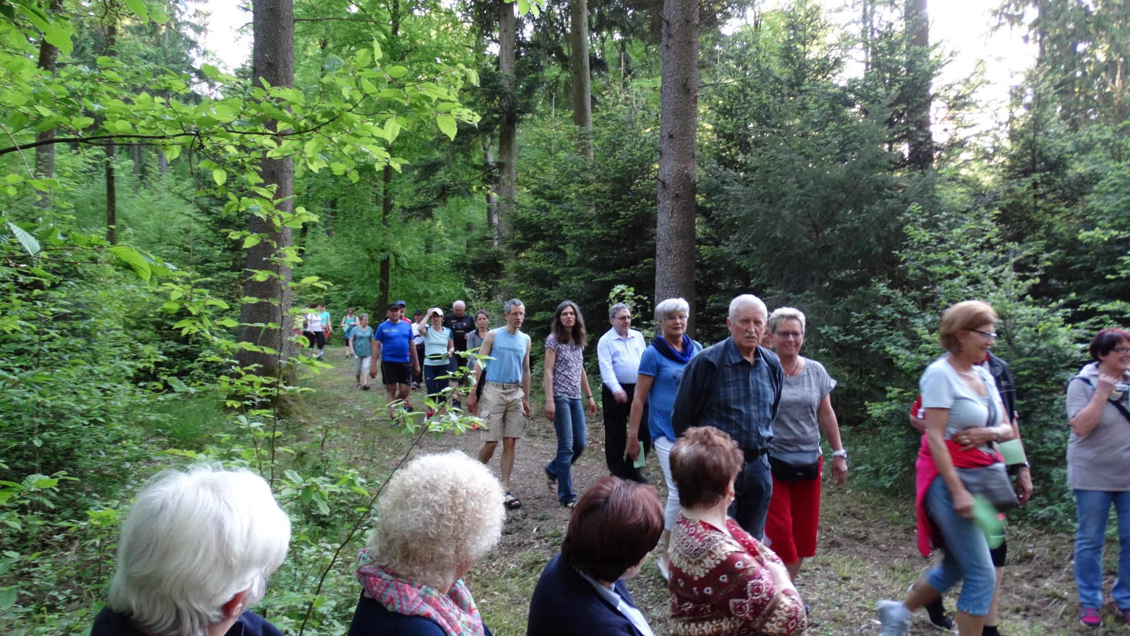 Ökumenische Waldandacht